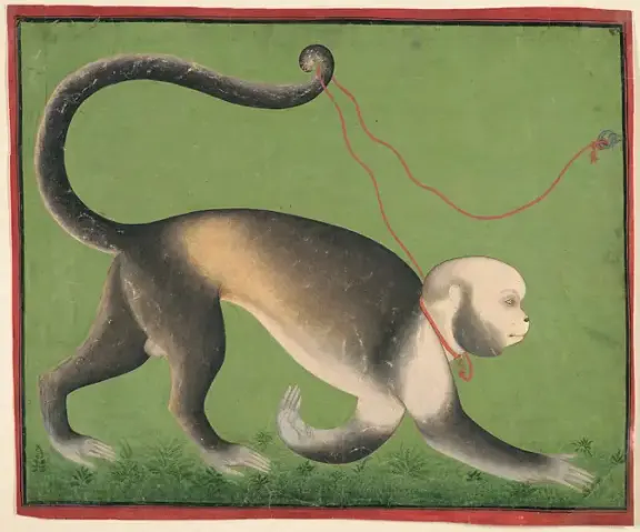 A Monumental Portrait of a Monkey — Opaque watercolor and gold on paper