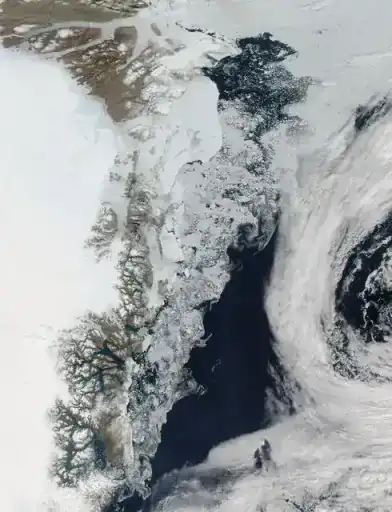 Summer ice in the Greenland Sea