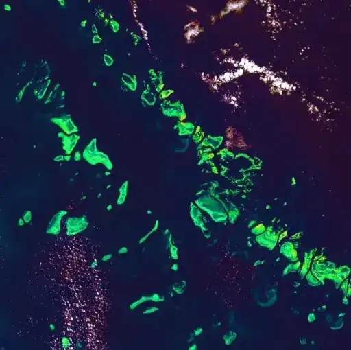 The Great Barrier Reef