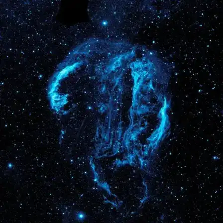 The Cygnus Loop