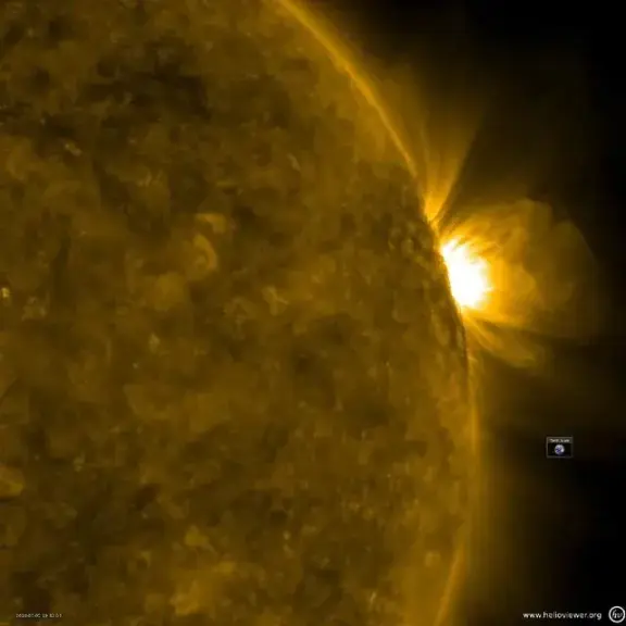 The Sun’s coronal loops