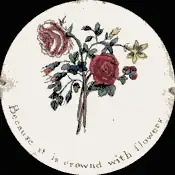 A flower-and-vase image from an 1825 thaumatrope optical toy.