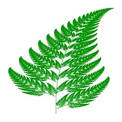 A Barnsley fern generated by repeated mathematical transformations.