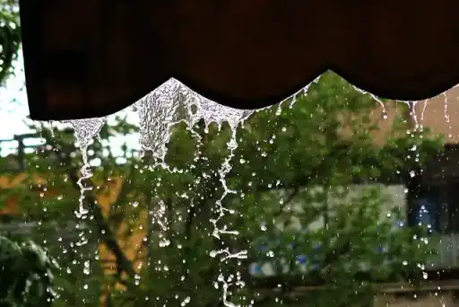 Raindrops forming along an edge under the influence of surface tension.