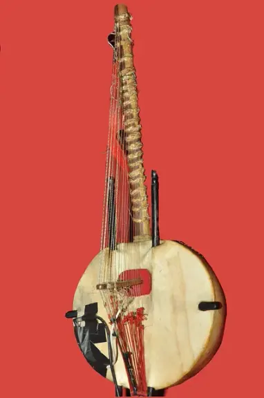 A kora with strings stretched over a large gourd resonator.