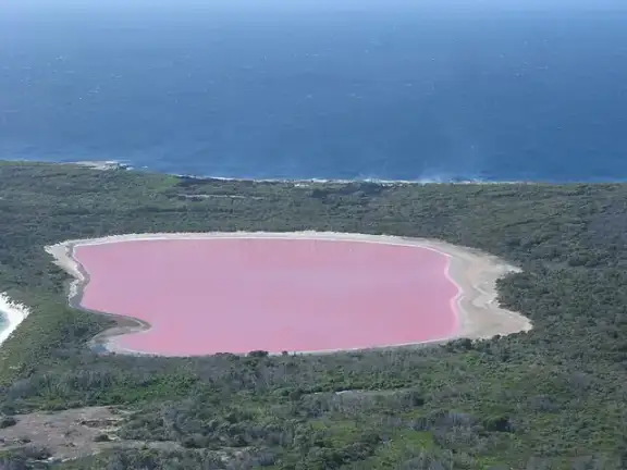 Aerial view of pink Lake Hillier on Middle Island, Western Australia.