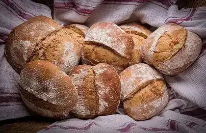 Several homemade sourdough loaves with browned crusts.