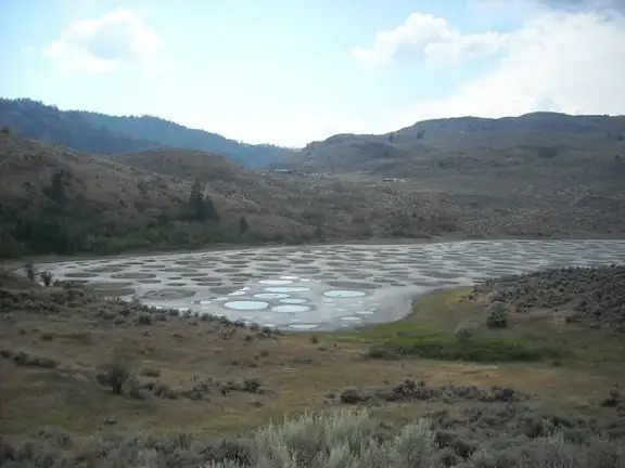Mineral-rich pools forming the spotted pattern of Spotted Lake in British Columbia.