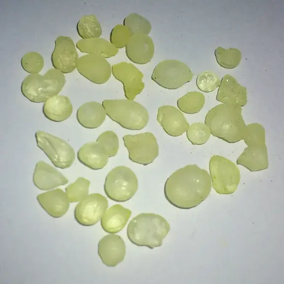 Pieces of mastic plant resin.