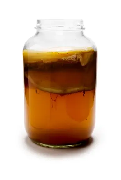 A mature kombucha culture.