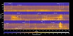A spectrogram showing marmot, bird, insect and aircraft sounds at Mount Rainier.