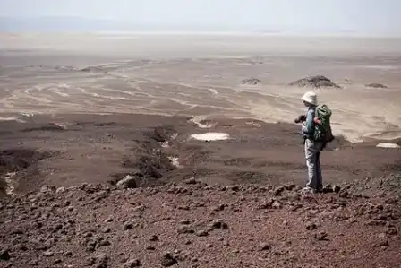 An arid landscape and pale marine sediments in the Danakil Depression.