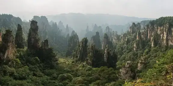 Tall sandstone pillars rising from forest at Zhangjiajie, China.