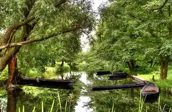A tree-lined waterway in Germany's Spreewald region.