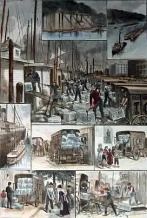 Ice trade: Ice Trade in New York, 1884