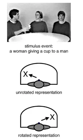 Illustration of rotated and unrotated spatial representations of a giving event in Nicaraguan Sign Language.