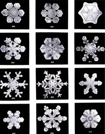 A collection of intricate snowflake photographs by Wilson Bentley.