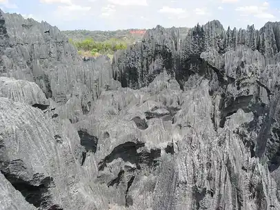 Jagged limestone pinnacles at Tsingy de Bemaraha, Madagascar.