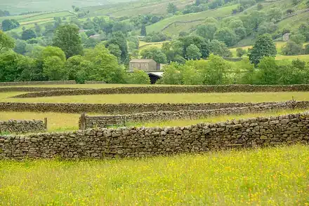 Dry stone: Dry stone fences in the Yorkshire Dales, England