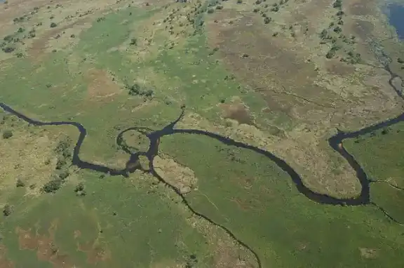 An aerial view of water channels and islands in the Okavango Delta.
