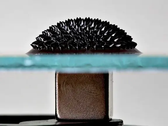 Spikes in a ferrofluid shaped by a magnetic field.