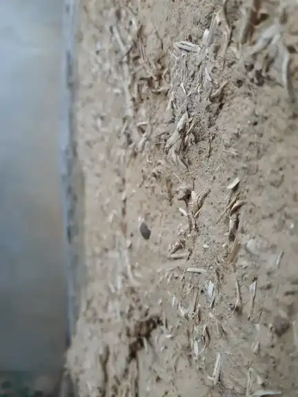 Adobe: Adobe wall (detail) in Bahillo, Palencia, Spain.