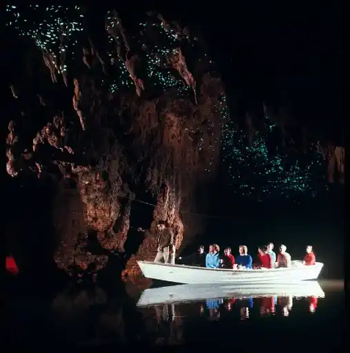 A tour boat beneath the dark walls of Waitomo's Glowworm Grotto.