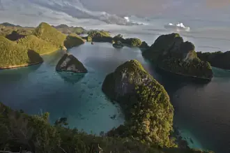 An aerial view of forested islands and blue water in Raja Ampat, Indonesia.
